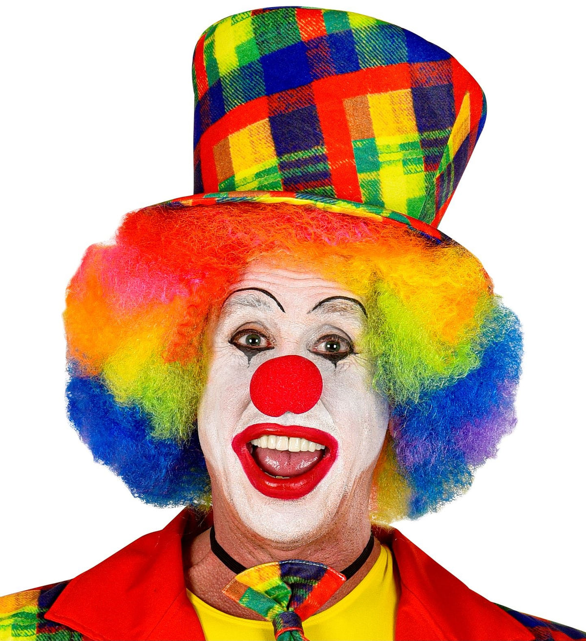 Clown Hut karierte Zirkus Hut