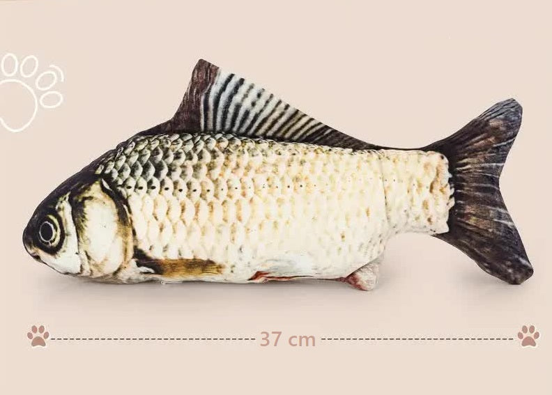 Fisch Dekoration – Forelle, Wolfsbarsch & Karpfen