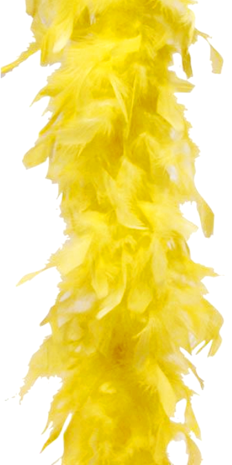 Federboa für JGA und Burlesque
