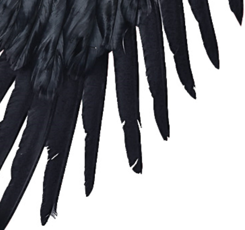 Federflügel Dark Angel