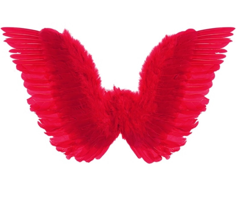 Federflügel Engelsflügel