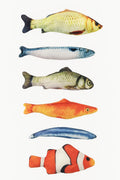 Fisch Dekoration – Rapfen & Forelle