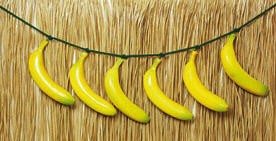 Bananengürtel – Bananenrock