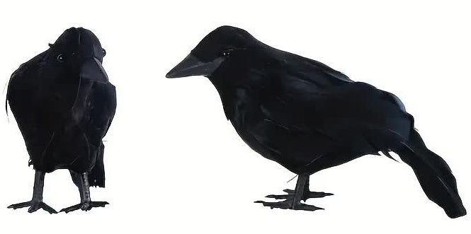 Kleine Krähe – Kostümzubehör und Halloween-Deko