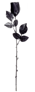 Rose – Gothic Blumendekoration