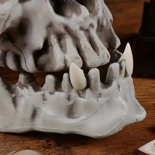 Vampirzähne mit Kleber – 4 Paar