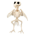 Vogel Skelett – Halloween Deko
