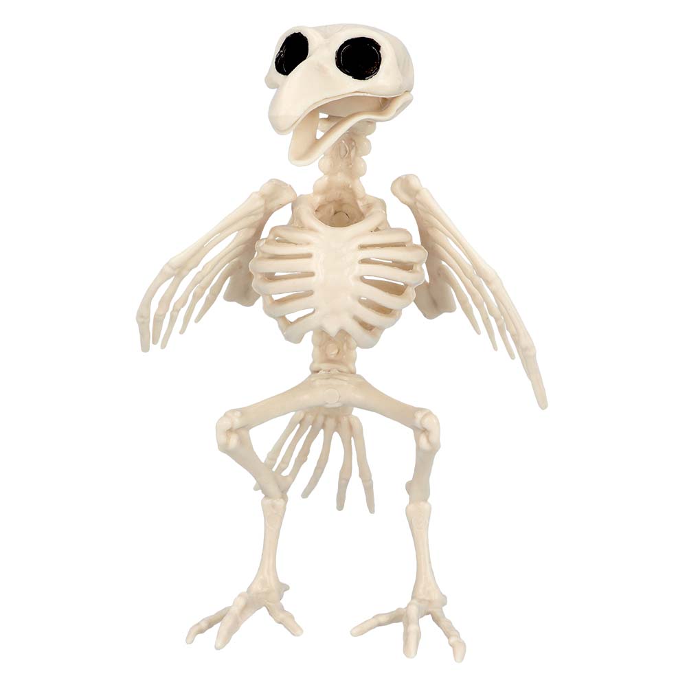 Vogel Skelett – Halloween Deko