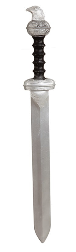 Wikinger Set für Erwachsene – Schwert und Schild