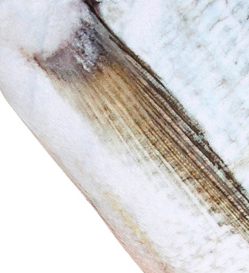 Fisch Dekoration – Wolfsbarsch & Forelle