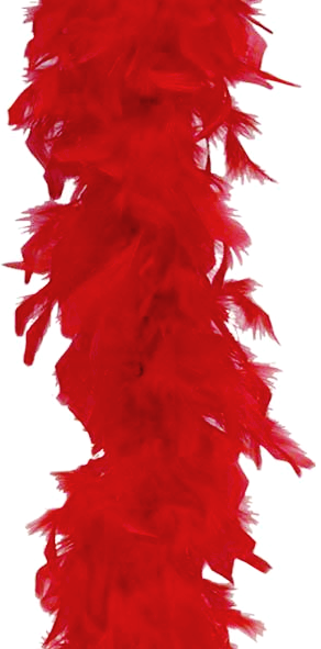 Federboa für JGA und Burlesque
