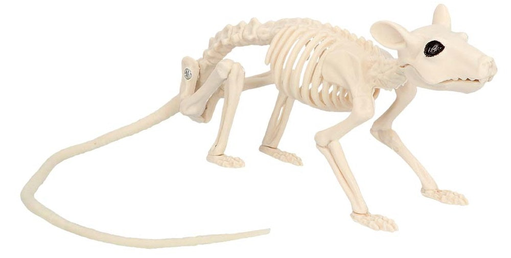 Ratten Skelett waagrecht – Halloween Dekoration