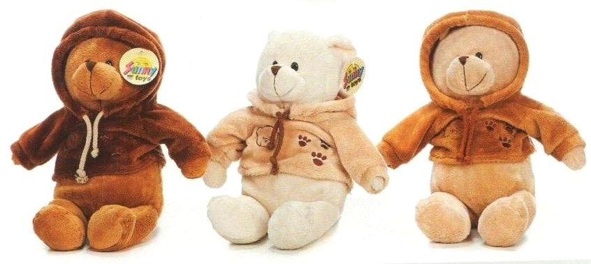 Teddybär mit Kapuzenshirt