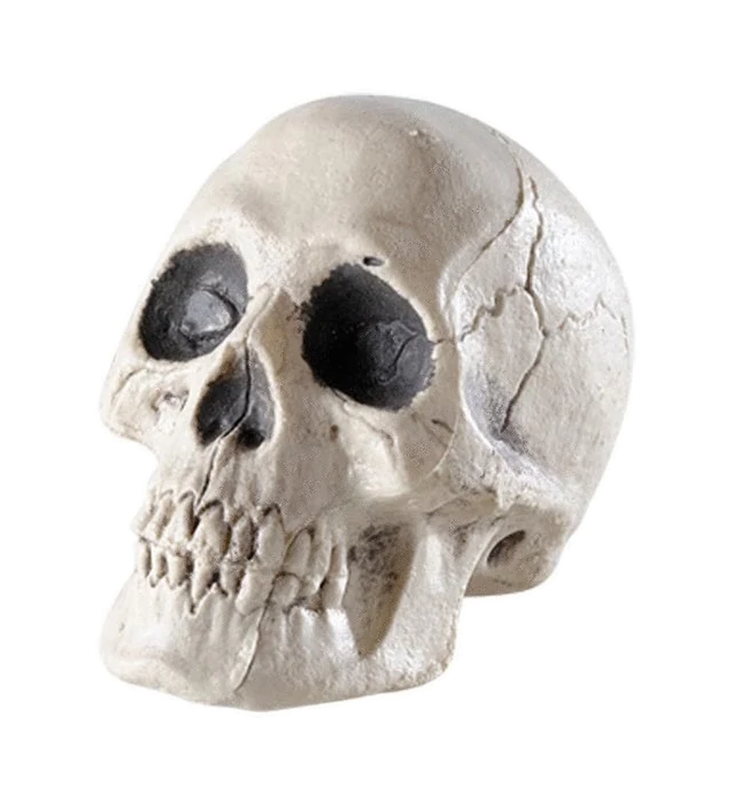 Totenschädel – Halloween Dekoration, Art.-Nr. 7873W.3
